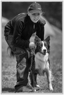 border collie speedy dream